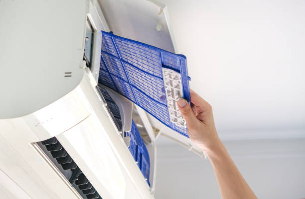 Best Affordable Duct Cleaning Services  in Ravenswood, WV