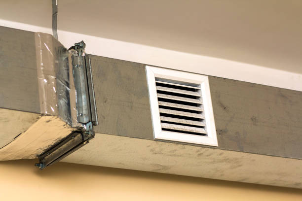 Best Air Vent Cleaning Services  in Ravenswood, WV